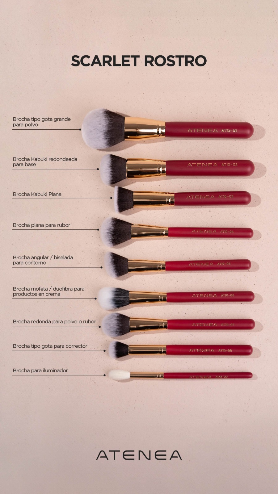 Maquillar Cual Es La Funcion De Las Brochas De Maquillaje - Main Image